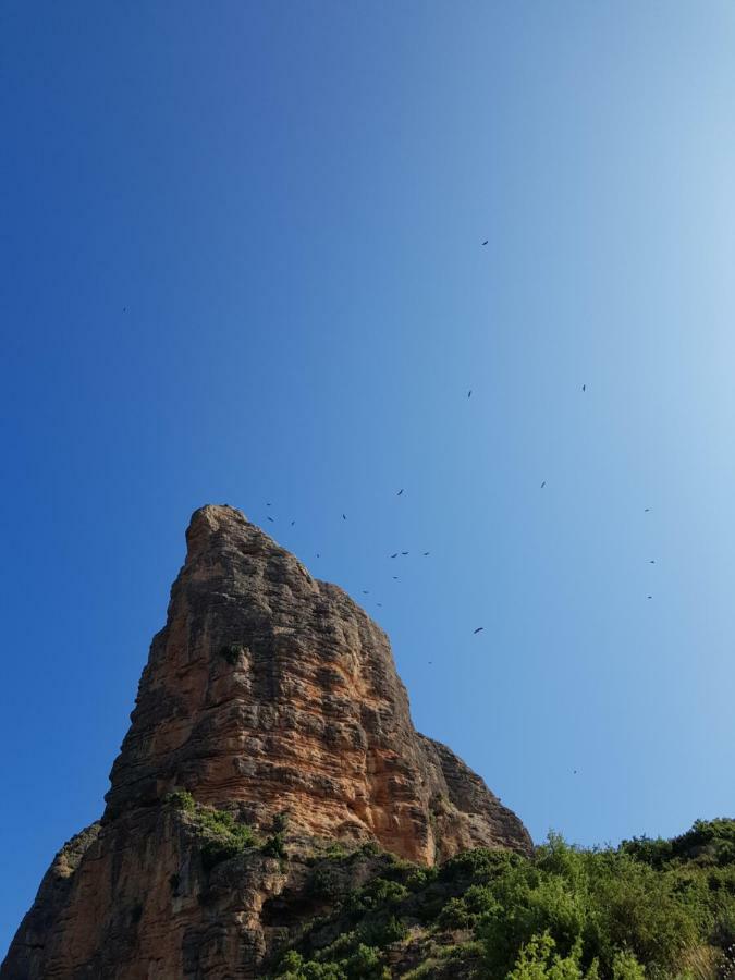 Natura Jordan Murillo de Gállego Exteriör bild